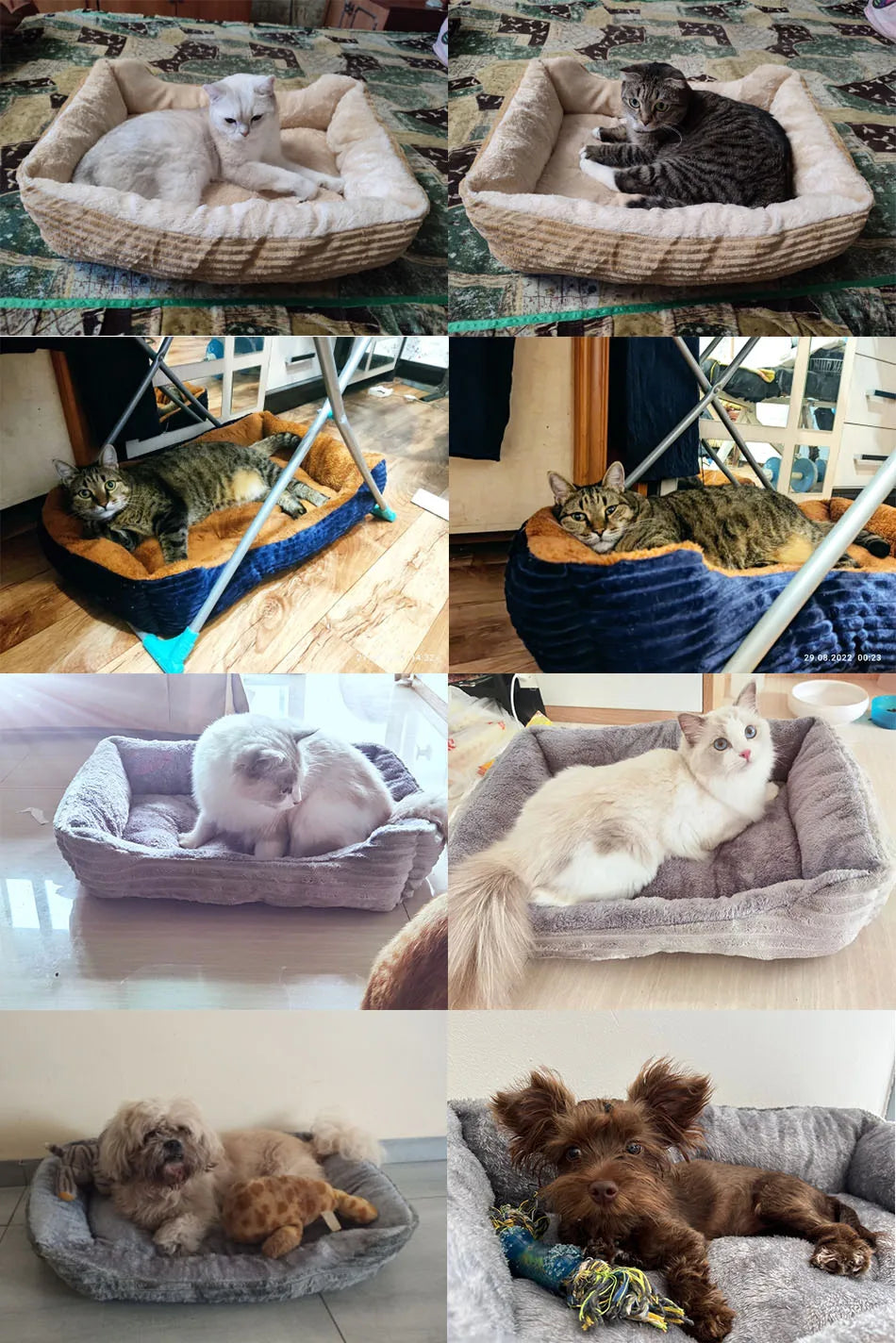 Bed for Dog Cat Pet Square Plush Kennel Medium Small Dog Sofa Bed Cushion Pet Calming Dog Bed House Pet Supplies Winter